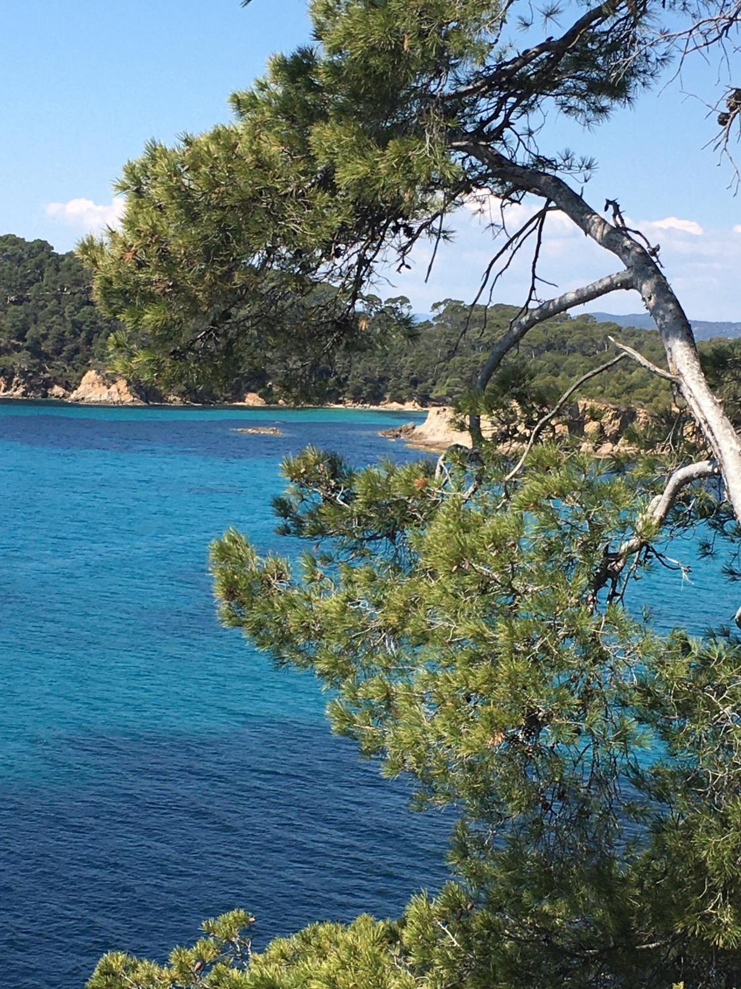 Appartement T3 Lumineux Traversant Totalement Neuf En Face De La Plage Front De Mer Vue Sur Les Iles Vue Mer Panoramique Assuree Residence De La Plage Centre Ville Du Lavandou 3Eme Etage Avec Ascenseur Appartement T3 Le Lavandou Exteriér fotografie